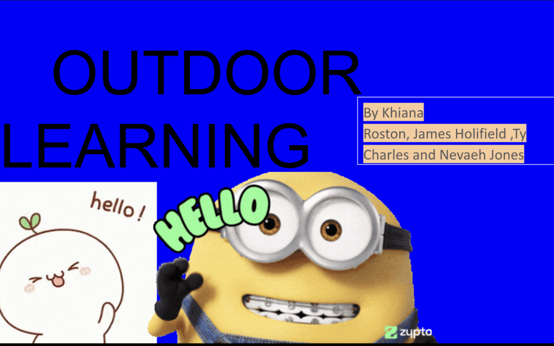 Outdoor Learning at Freedom Dreams